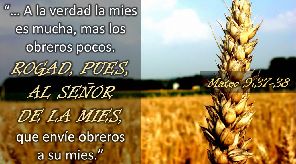 Lecturas del Viernes de la V Semana del Tiempo Ordinario | Parroquia ...